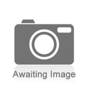 Awaiting image